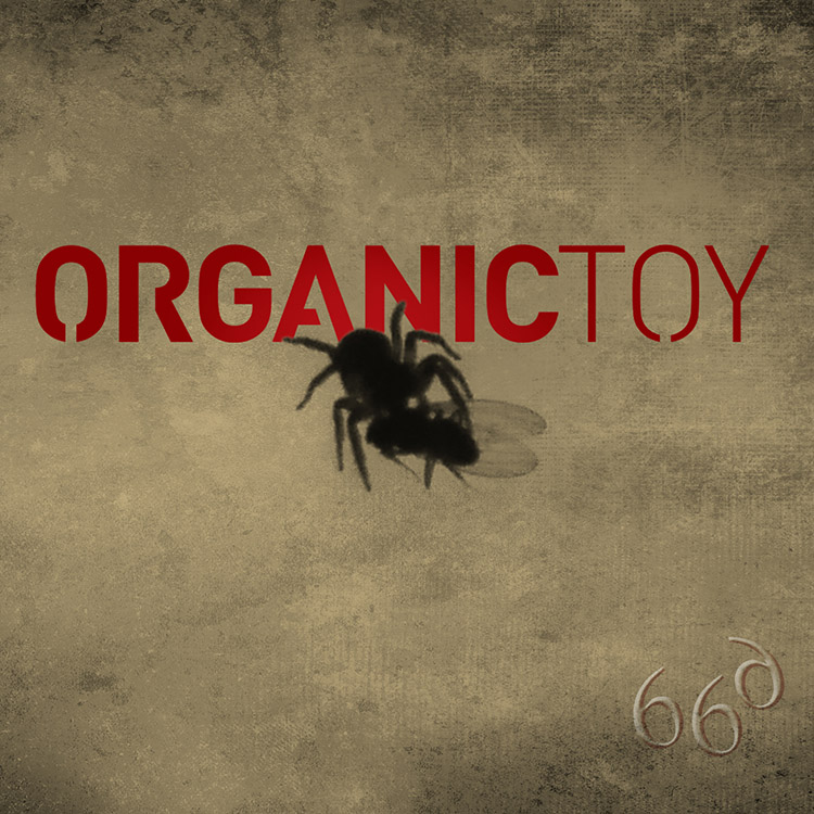 Organic Toy - 66d